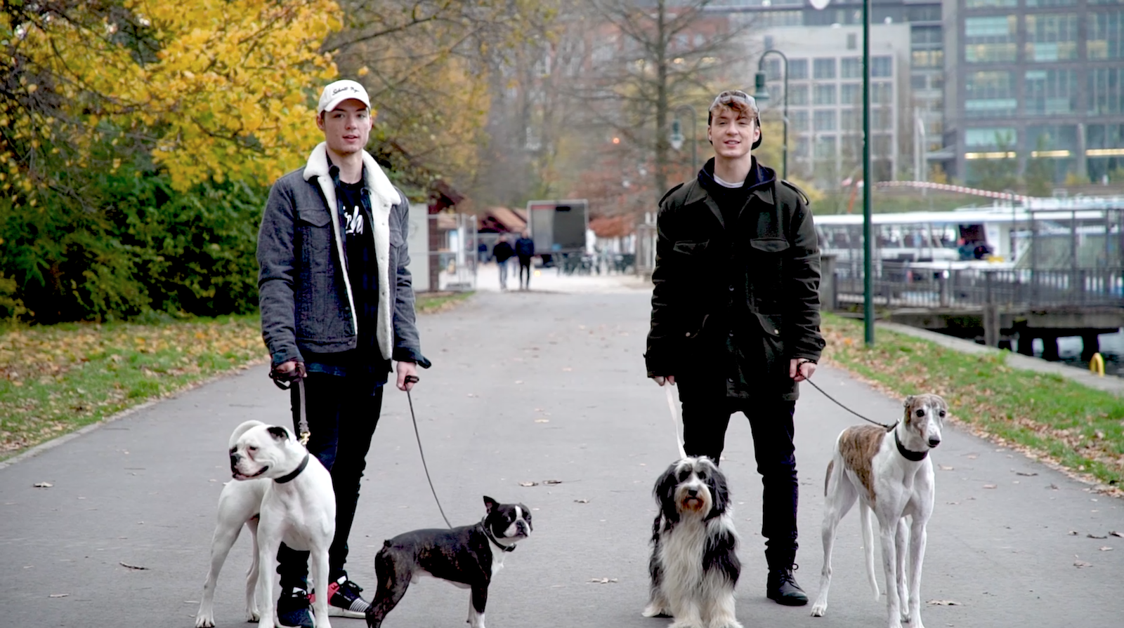 Hunde GaГџi Gehen Geld Verdienen Hunde GaГџi Gehen Geld Verdienen